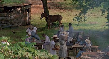 Movie still from “Fried Green Tomatoes” (1991), directed by Jon Avnet – A group of people sitting at tables under a tree; Extreme Wide shot, High angle