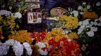Movie still from “Funny Face” (1957), directed by Stanley Donen – A woman in a straw hat standing in front of a display of flowers; Medium shot, Low angle