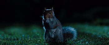 Movie still from “G-Force” (2009), directed by Hoyt Yeatman – A squirrel in the grass at night; Medium shot, High angle