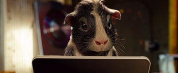 Movie still from “G-Force” (2009), directed by Hoyt Yeatman – A guinea pig's face; Close Up shot, Low angle