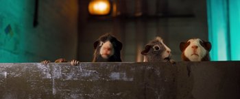 Movie still from “G-Force” (2009), directed by Hoyt Yeatman – A couple of animals that are looking over a fence; Close Up shot, Low angle