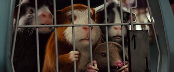 Movie still from “G-Force” (2009), directed by Hoyt Yeatman – A couple of animals that are inside of a cage; Close Up shot, Low angle