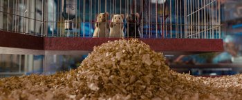Movie still from “G-Force” (2009), directed by Hoyt Yeatman – A pile of shredded paper sitting in front of three stuffed animals; Medium shot, High angle