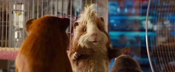 Movie still from “G-Force” (2009), directed by Hoyt Yeatman – A brown and white guinea pig standing next to a cage; Close Up shot, Over the shoulder angle