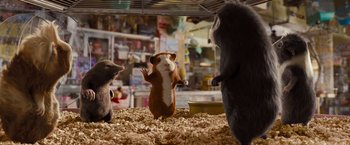 Movie still from “G-Force” (2009), directed by Hoyt Yeatman – A group of small animals standing on top of a pile of wood; Medium shot, Low angle