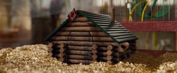 Movie still from “G-Force” (2009), directed by Hoyt Yeatman – A log cabin with a canadian flag on top; Extreme Close Up shot, Low angle
