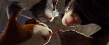 Movie still from “G-Force” (2009), directed by Hoyt Yeatman – A group of three animals looking at a toy; Extreme Close Up shot, Low angle