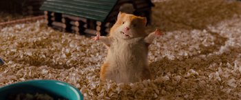 Movie still from “G-Force” (2009), directed by Hoyt Yeatman – A hamster standing on its hind legs in a pile of popcorn; Medium shot, Low angle