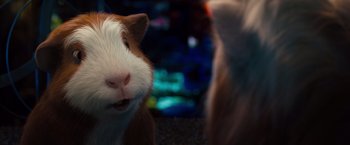Movie still from “G-Force” (2009), directed by Hoyt Yeatman – The face of a guinea pig; Close Up shot, Over the shoulder angle