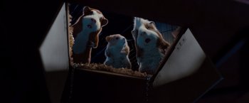 Movie still from “G-Force” (2009), directed by Hoyt Yeatman – A group of stuffed animals sitting on top of a table; Medium shot, Low angle