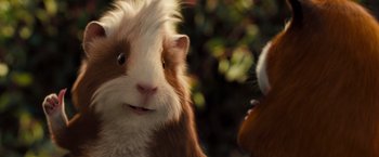 Movie still from “G-Force” (2009), directed by Hoyt Yeatman – A guinea pig looking at another guinea pig; Close Up shot, Low angle
