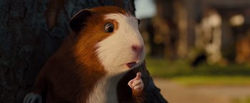 Movie still from “G-Force” (2009), directed by Hoyt Yeatman – A guinea pig eating a piece of food; Close Up shot, Low angle