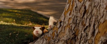 Movie still from “G-Force” (2009), directed by Hoyt Yeatman – Two stuffed animals sitting on top of a tree branch; Close Up shot, Low angle