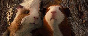Movie still from “G-Force” (2009), directed by Hoyt Yeatman – Two guinea pigs looking at the camera with their eyes closed; Close Up shot, Low angle