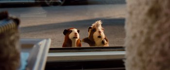 Movie still from “G-Force” (2009), directed by Hoyt Yeatman – A couple of stuffed animals sitting next to each other; Close Up shot, Low angle