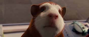 Movie still from “G-Force” (2009), directed by Hoyt Yeatman – A guinea pig's face; Extreme Close Up shot, Low angle