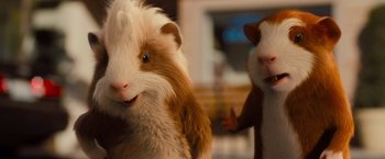 Movie still from “G-Force” (2009), directed by Hoyt Yeatman – Two stuffed animals one of which is brown and the other is white; Close Up shot, Low angle