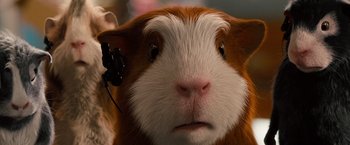 Movie still from “G-Force” (2009), directed by Hoyt Yeatman – The face of a guinea pig; Close Up shot, High angle