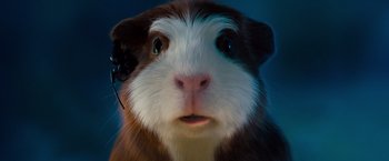 Movie still from “G-Force” (2009), directed by Hoyt Yeatman – A guinea pig's face; Extreme Close Up shot, Low angle