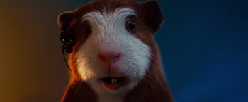 Movie still from “G-Force” (2009), directed by Hoyt Yeatman – The face of a guinea pig; Extreme Close Up shot, Low angle