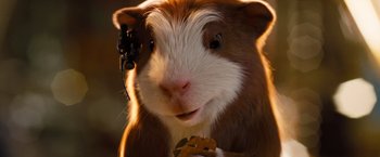 Movie still from “G-Force” (2009), directed by Hoyt Yeatman – The face of a guinea pig; Extreme Close Up shot, Low angle