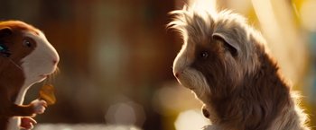 Movie still from “G-Force” (2009), directed by Hoyt Yeatman – The face of a guinea pig; Extreme Close Up shot, Low angle