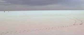Movie still from “Gallipoli” (1981), directed by Peter Weir – A view of the ocean from the beach with footprints in the sand; Extreme Wide shot, High angle