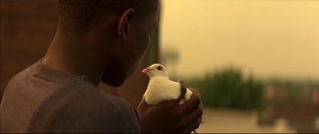 Movie still from “George Washington” (2000), directed by David Gordon Green – A man holding a white bird in his hands; Close Up shot, Low angle