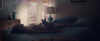 Movie still from “Gloria Bell” (2018), directed by Sebastián Lelio – A cat is sitting on a man's chest in a bedroom; Medium shot, High angle
