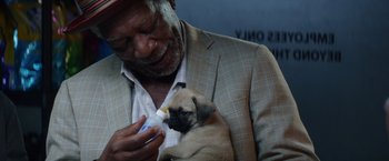 Movie still from “Going in Style” (2017), directed by Zach Braff – An older man holding a small pug puppy; Close Up shot, Overhead angle
