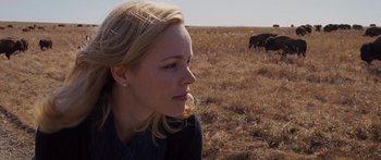 Movie still from “To the Wonder” (2012), directed by Terrence Malick – A woman in a field with cows in the background; Close Up shot, Over the shoulder angle