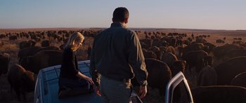 Movie still from “To the Wonder” (2012), directed by Terrence Malick – A man and a woman standing on a boat watching a herd of sheep; Wide shot, High angle