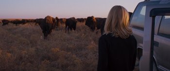 Movie still from “To the Wonder” (2012), directed by Terrence Malick – A woman in a field with a herd of buffalo; Medium shot, Over the shoulder angle