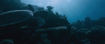 Movie still from “To the Wonder” (2012), directed by Terrence Malick – A sea turtle swimming over a coral reef in the middle of the ocean; Extreme Wide shot, Overhead angle