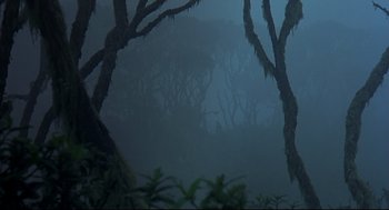 Movie still from “Gorillas in the Mist” (1988), directed by Michael Apted – Trees in the middle of a forest in the fog; Extreme Wide shot, Low angle