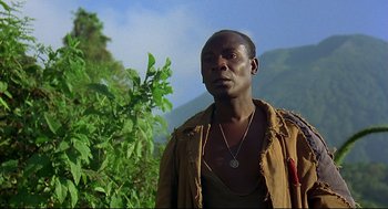 Movie still from “Gorillas in the Mist” (1988), directed by Michael Apted – A man standing next to a tree in a field; Close Up shot, Low angle