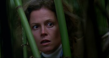 Movie still from “Gorillas in the Mist” (1988), directed by Michael Apted – A person behind a bunch of bamboo sticks; Close Up shot, Low angle