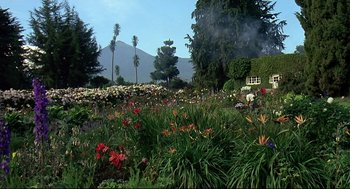 Movie still from “Gorillas in the Mist” (1988), directed by Michael Apted – A field of flowers in front of a house and trees; Extreme Wide shot, Low angle
