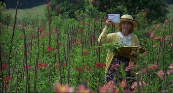 Movie still from “Gorillas in the Mist” (1988), directed by Michael Apted – A woman in a field of flowers holding a piece of paper; Medium shot, Low angle
