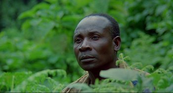 Movie still from “Gorillas in the Mist” (1988), directed by Michael Apted – A person in a forest; Close Up shot, Low angle