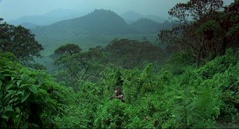 Movie still from “Gorillas in the Mist” (1988), directed by Michael Apted – A person in a field with trees in the background; Extreme Wide shot, High angle