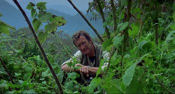 Movie still from “Gorillas in the Mist” (1988), directed by Michael Apted – A man in the middle of a forest with trees; Medium shot, High angle