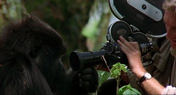 Movie still from “Gorillas in the Mist” (1988), directed by Michael Apted – A gorilla taking a picture of a person holding a camera; Extreme Close Up shot, Low angle