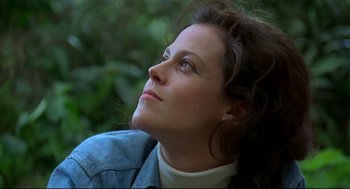 Movie still from “Gorillas in the Mist” (1988), directed by Michael Apted – A person looking up at the sky; Close Up shot, Low angle