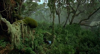 Movie still from “Gorillas in the Mist” (1988), directed by Michael Apted – A bird sitting in the middle of a dense forest; Extreme Wide shot, High angle