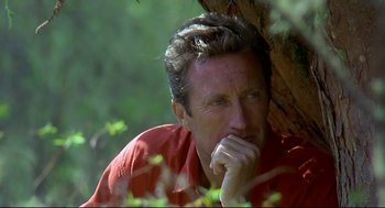 Movie still from “Gorillas in the Mist” (1988), directed by Michael Apted – A person leaning against a tree; Close Up shot, High angle