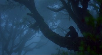 Movie still from “Gorillas in the Mist” (1988), directed by Michael Apted – A bear sitting on top of a tree in the woods; Extreme Wide shot, Low angle