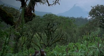 Movie still from “Gorillas in the Mist” (1988), directed by Michael Apted – Two men are standing in the middle of a forest; Extreme Wide shot, High angle