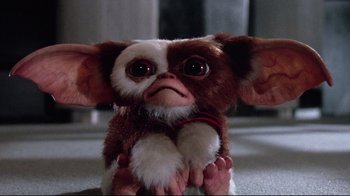 Movie still from “Gremlins 2: The New Batch” (1990), directed by Joe Dante – A stuffed toy of gizmo from gremlins; Close Up shot, High angle