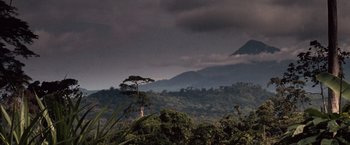 Movie still from “Greystoke: The Legend of Tarzan, Lord of the Apes” (1984), directed by Hugh Hudson – A tree in the middle of a lush green forest; Extreme Wide shot, High angle